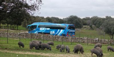 Autocares Matiena, excursiones y circuitos jubilados